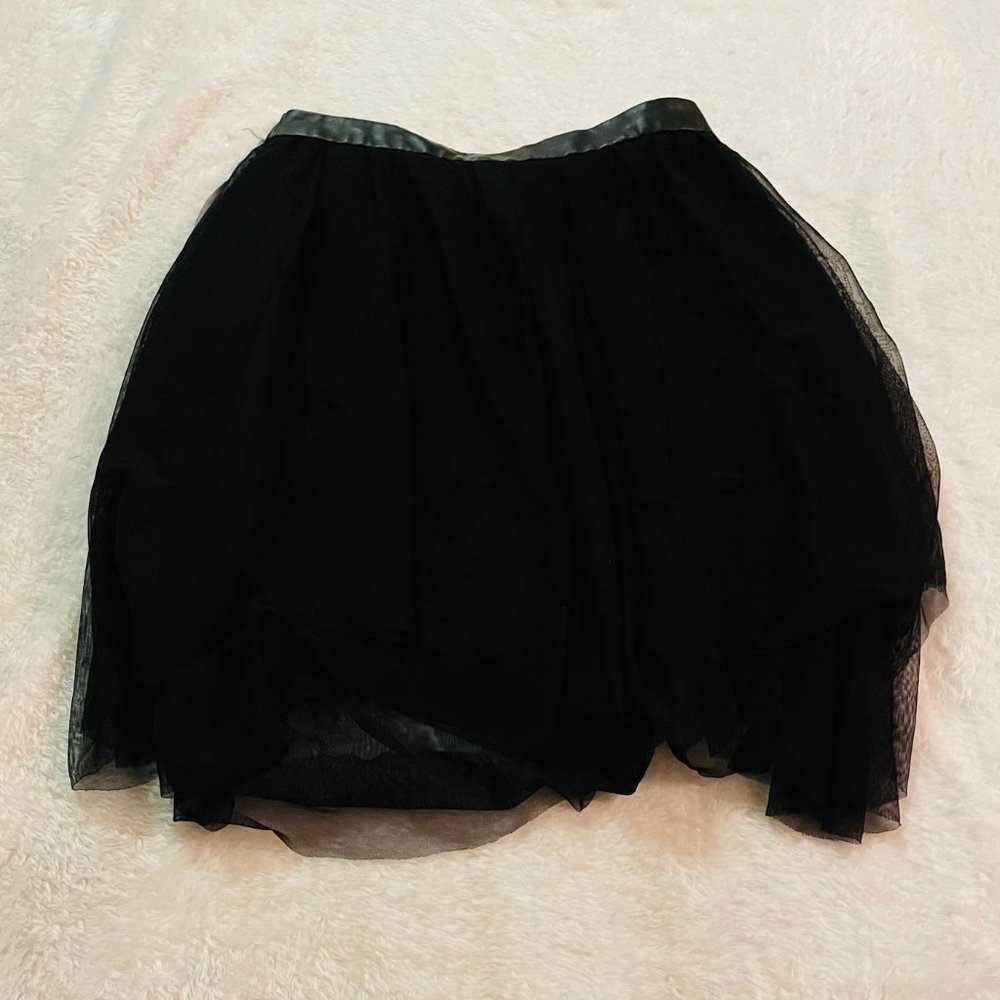 Zara Tulle Skirt